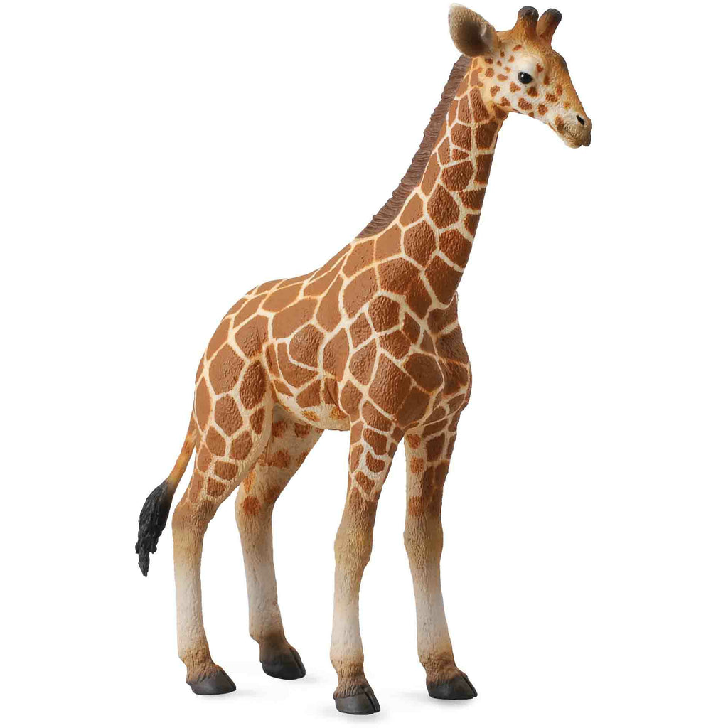 Cucciolo di Giraffa Animale Giocattolo Collecta - Millemamme