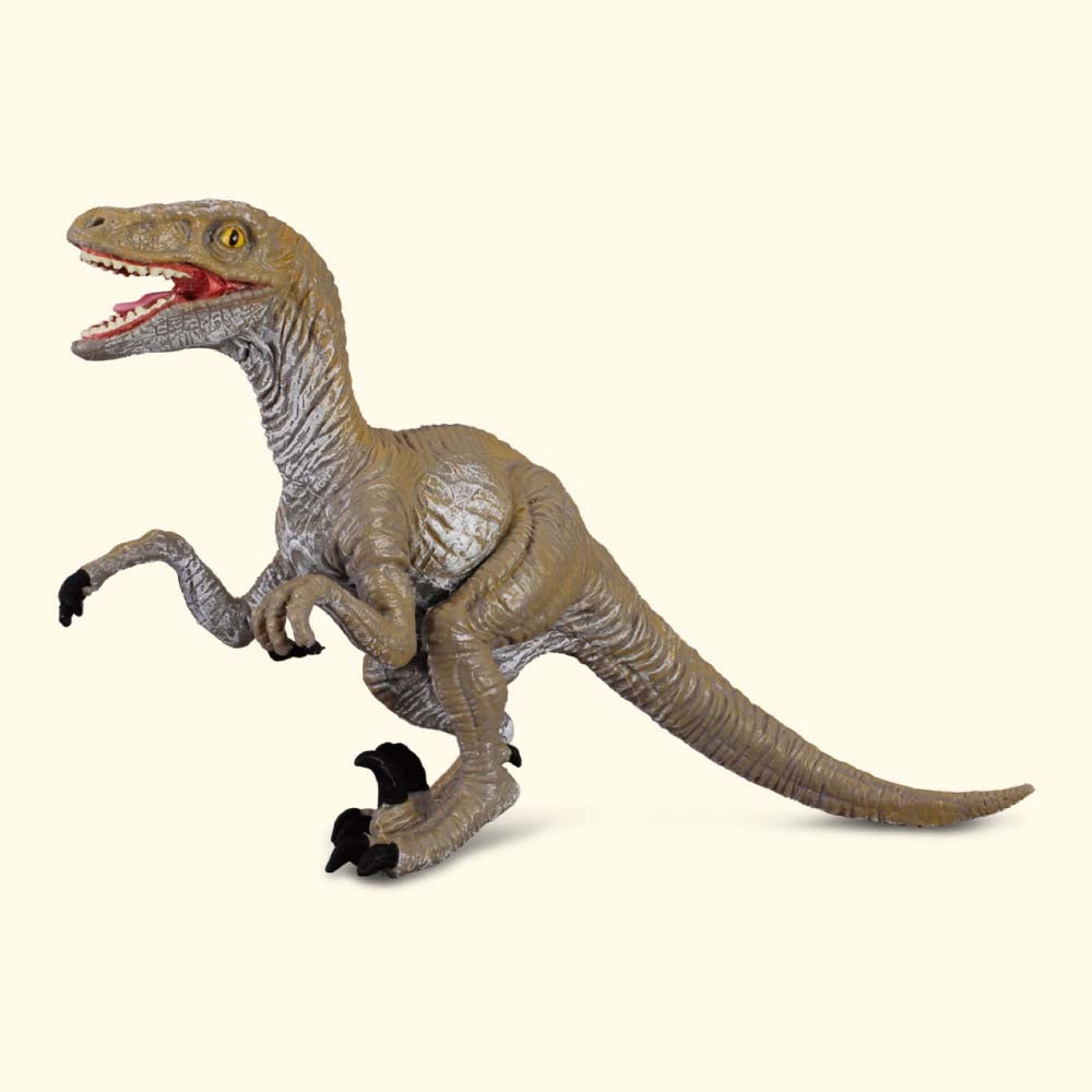 Velociraptor Dinosauro Giocattolo Collecta - Shop Millemamme