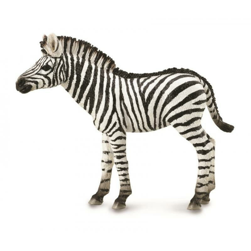 Cucciolo di Zebra Animale Giocattolo Collecta - Millemamme